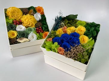 ずこうしつ〜sugamo〜に投稿された画像（2022/3/13）