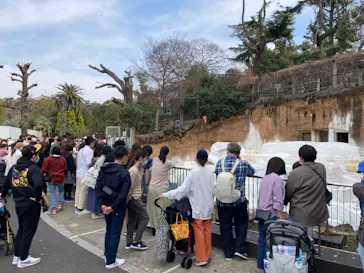 天王寺動物園に投稿された画像（2022/3/13）