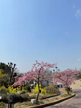 ひらかたパークに投稿された画像（2022/3/13）