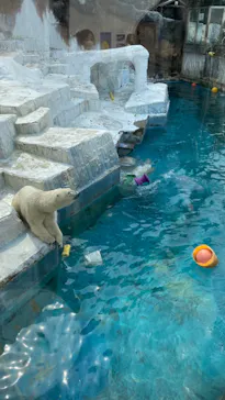 天王寺動物園に投稿された画像（2022/3/13）