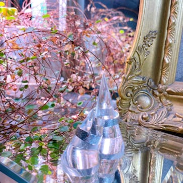 impera accessory（インペラアクセサリー）に投稿された画像（2022/3/13）