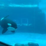 名古屋港水族館に投稿された画像（2022/3/13）