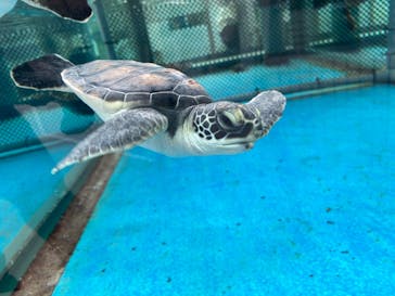 名古屋港水族館に投稿された画像（2022/3/13）