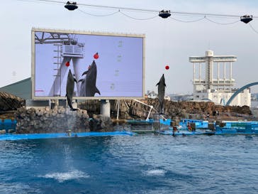 名古屋港水族館に投稿された画像（2022/3/13）