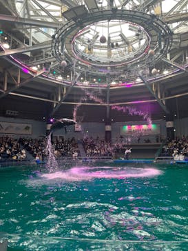 マクセル アクアパーク品川に投稿された画像（2022/3/13）