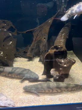 株式会社Gに投稿された画像（2022/3/13）