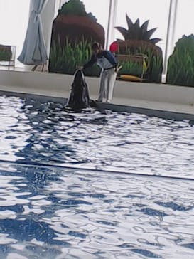 アクアワールド茨城県大洗水族館に投稿された画像（2022/3/13）
