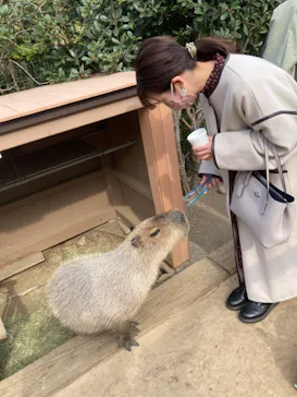 横浜・八景島シーパラダイスに投稿された画像（2022/3/13）
