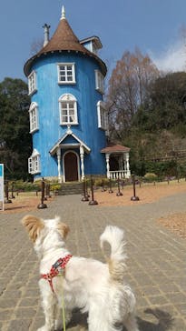 ムーミンバレーパークに投稿された画像（2022/3/13）