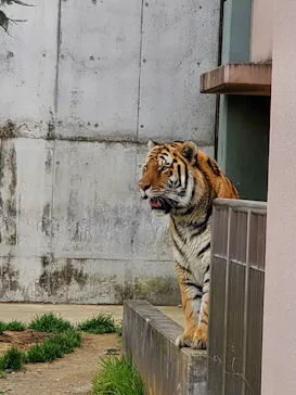 天王寺動物園に投稿された画像（2022/3/13）