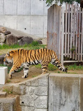 天王寺動物園に投稿された画像（2022/3/13）