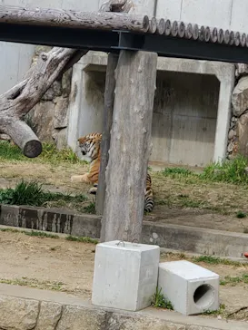 天王寺動物園に投稿された画像（2022/3/13）