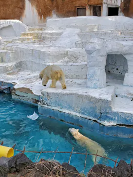 天王寺動物園に投稿された画像（2022/3/13）