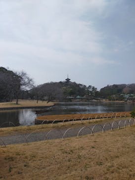 三溪園に投稿された画像（2022/3/13）