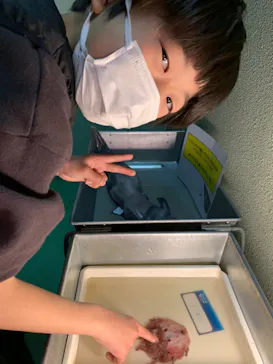 横浜・八景島シーパラダイスに投稿された画像（2022/3/13）