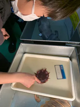 横浜・八景島シーパラダイスに投稿された画像（2022/3/13）