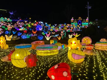 伊豆ぐらんぱる公園に投稿された画像（2022/3/13）