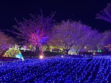 伊豆ぐらんぱる公園に投稿された画像（2022/3/13）