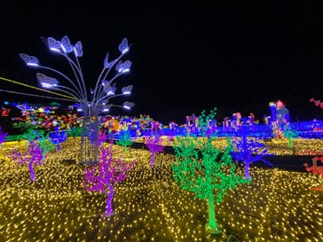 伊豆ぐらんぱる公園に投稿された画像（2022/3/13）