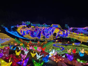 伊豆ぐらんぱる公園に投稿された画像（2022/3/13）