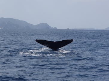 Sea World（シーワールド）に投稿された画像（2022/3/13）