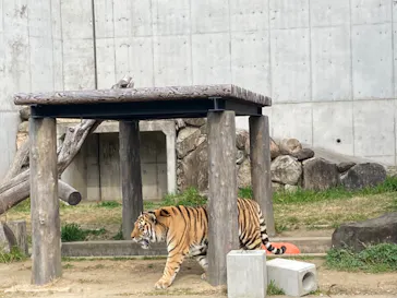 天王寺動物園に投稿された画像（2022/3/13）