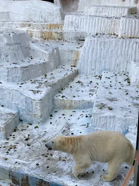 天王寺動物園に投稿された画像（2022/3/13）