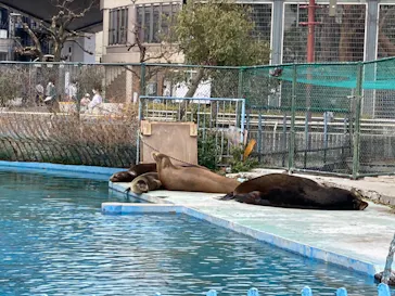 天王寺動物園に投稿された画像（2022/3/13）