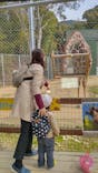 しろとり動物園に投稿された画像（2022/3/13）