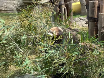 天王寺動物園に投稿された画像（2022/3/13）
