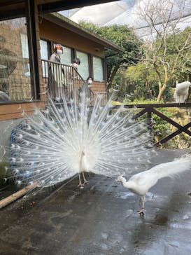 伊豆シャボテン動物公園に投稿された画像（2022/3/13）