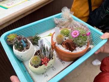 伊豆シャボテン動物公園に投稿された画像（2022/3/13）