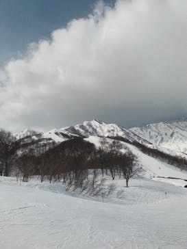 Hakuba47ウィンタースポーツパークに投稿された画像（2022/3/13）