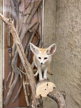 長崎バイオパークに投稿された画像（2022/3/13）