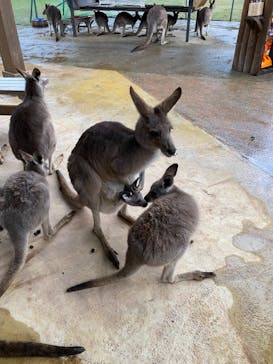 長崎バイオパークに投稿された画像（2022/3/13）