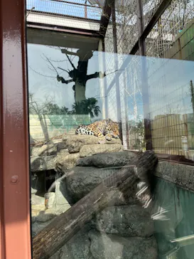 天王寺動物園に投稿された画像（2022/3/13）