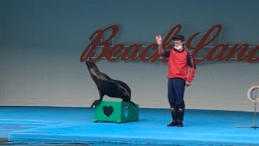 南知多ビーチランド＆南知多おもちゃ王国に投稿された画像（2022/3/13）