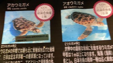 南知多ビーチランド＆南知多おもちゃ王国に投稿された画像（2022/3/13）