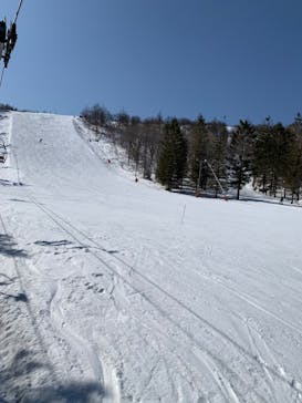 しらかば2in1スキー場に投稿された画像（2022/3/13）