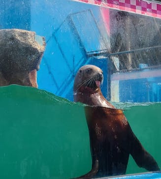 ゼロ距離水族館 伊勢シーパラダイスに投稿された画像（2022/3/13）