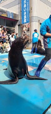 ゼロ距離水族館 伊勢シーパラダイスに投稿された画像（2022/3/13）