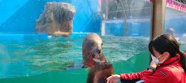 ゼロ距離水族館 伊勢シーパラダイスに投稿された画像（2022/3/13）