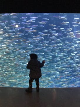 登別マリンパークニクスに投稿された画像（2022/3/13）