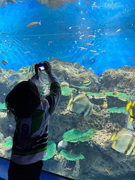 アクアワールド茨城県大洗水族館に投稿された画像（2022/3/13）
