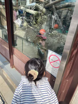 天王寺動物園に投稿された画像（2022/3/13）