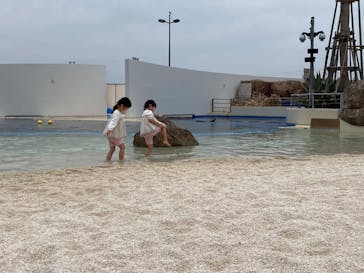 大分マリーンパレス水族館 「うみたまご」に投稿された画像（2022/3/14）