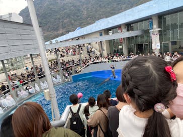 大分マリーンパレス水族館 「うみたまご」に投稿された画像（2022/3/14）