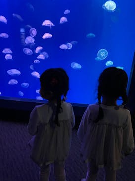 大分マリーンパレス水族館 「うみたまご」に投稿された画像（2022/3/14）