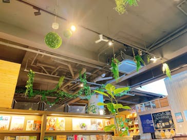 おふろcafé ハレニワの湯に投稿された画像（2022/3/14）