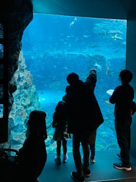 上越市立水族博物館 うみがたりに投稿された画像（2022/3/14）